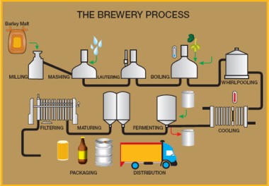 How to Brew Beer by Yourself ?